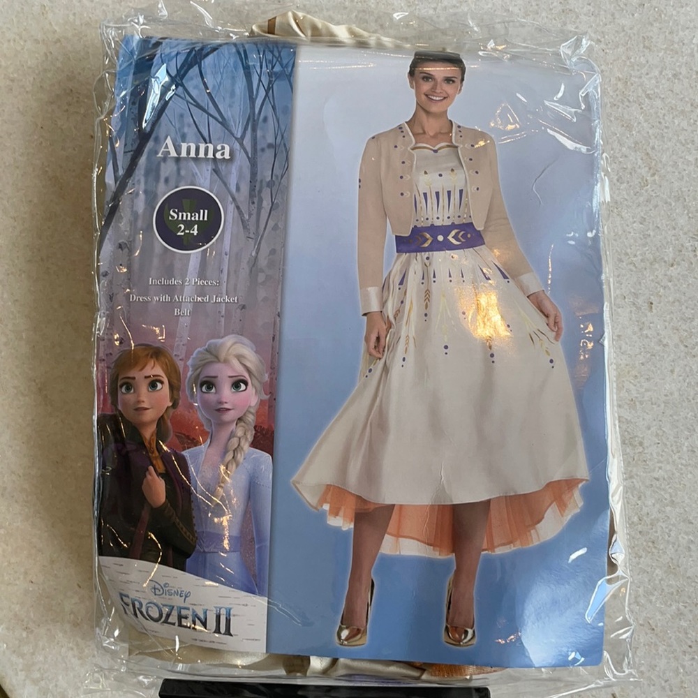 Frozen 2 Anna costume
